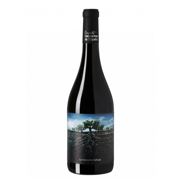 Proyecto Garnachas La Garnacha Salvaje del Moncayo Dry Red 14.5% 0.75L