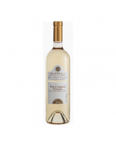 Bottega Pinot Grigio Delle Venezie DOC Dry White 12% 0.75L