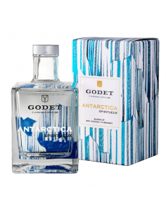 Godet Antarctica Cognac 40% 0.5L GB