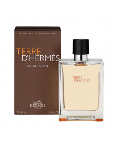 Hermès Terre d'Hermès Eau de Toilette 100 ml