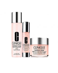 Clinique Moisture Surge Dewy For Days Travel Set