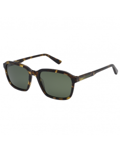 Pepe Jeans Sunglasses PJ748610156