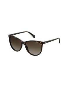 Polaroid, women's sunglasses 4