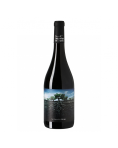 Proyecto Garnachas La Garnacha Salvaje del Moncayo Dry Red 14.5% 0.75L