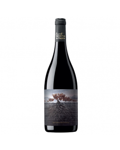 Proyecto Garnachas La Garnacha Perdida del Pirineo Organic Dry Red 15.5% 0.75L