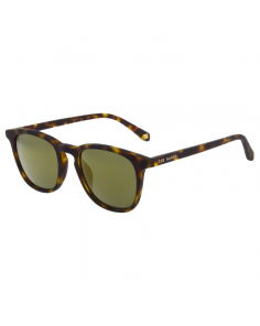 Ted Baker Riggs Sunglasses TB1536 122